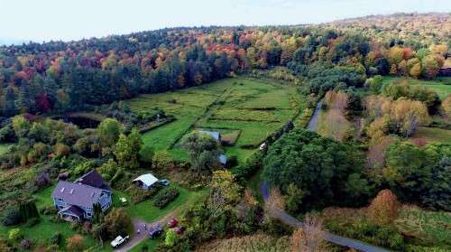 Myrrh Meadow Farm