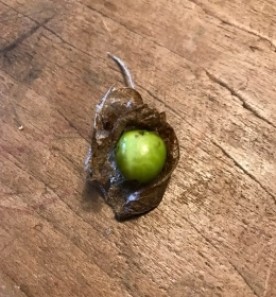 Mystery package thumbnail