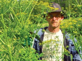 native_flora_1.jpg thumbnail