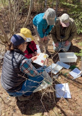 naturalists_study_specimens.jpg thumbnail