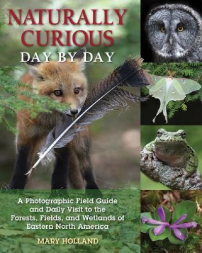 Naturally_Curious_day_by_day_cover.jpg Image