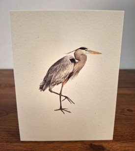 NC-GBH-heron.jpg thumbnail