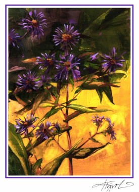 New england american aster thumbnail
