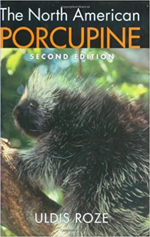 North American Porcupine
