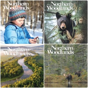 Northern Woodlands magazines thumbnail