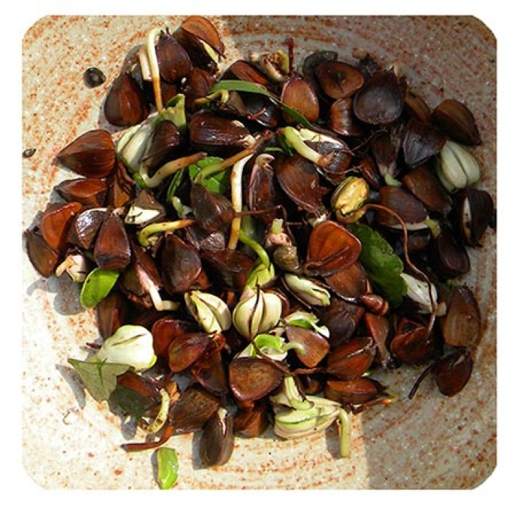 nutsnstone.jpg Image