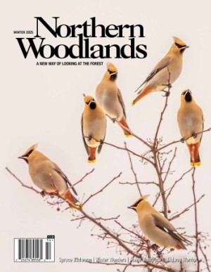 Cover of Northern woodlands winter issue
