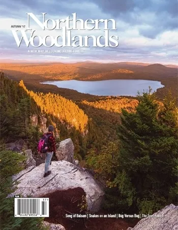 Photo by Nathanael Asaro Autumn 2017 cover 