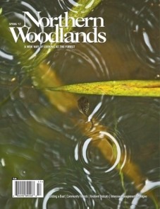 Photo by Chris Mazzarella NW_SPR17_COVER_web.jpg cover 