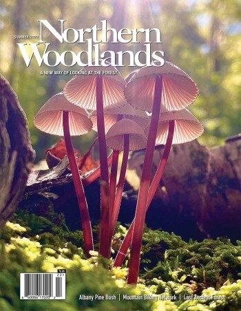 Photo by Meg Madden Summer 2022 cover  by Meg Madden