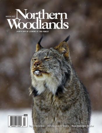   cover  by Northern Woodlands