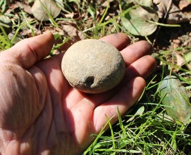 oct_26_witwit.jpg thumbnail