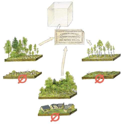 Carbon offset certificate