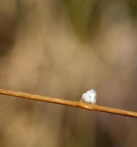 ohmymy.jpg thumbnail