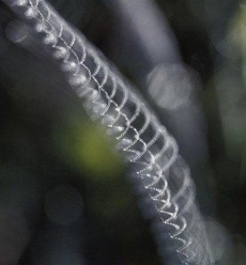 osborn.jpg thumbnail