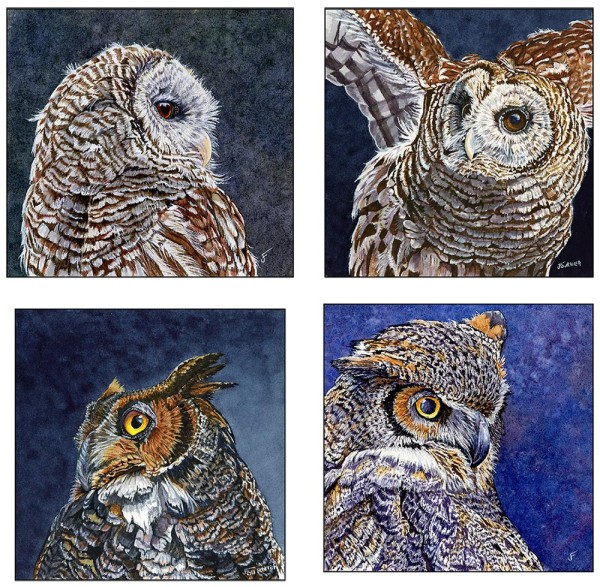 Owls