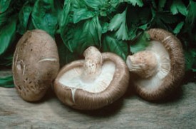 Page_48_cover_Page_1_Image_0003_300.jpg thumbnail