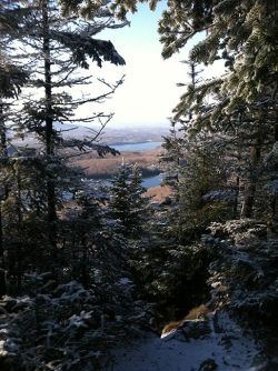 parry_nov_pic_web8.jpg