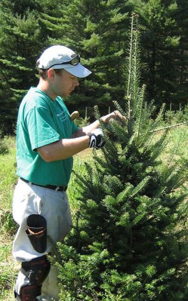 patrick_w1.jpg thumbnail