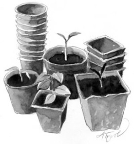 Peat_cropped.jpg thumbnail