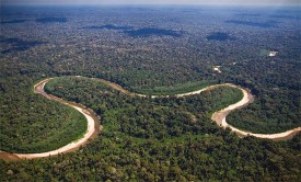 peruvian-forest-products1.jpg thumbnail