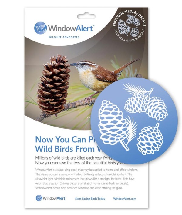 Pinecone medley decals