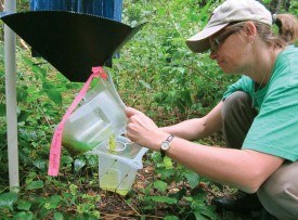 pouring_antifreeze.jpg thumbnail