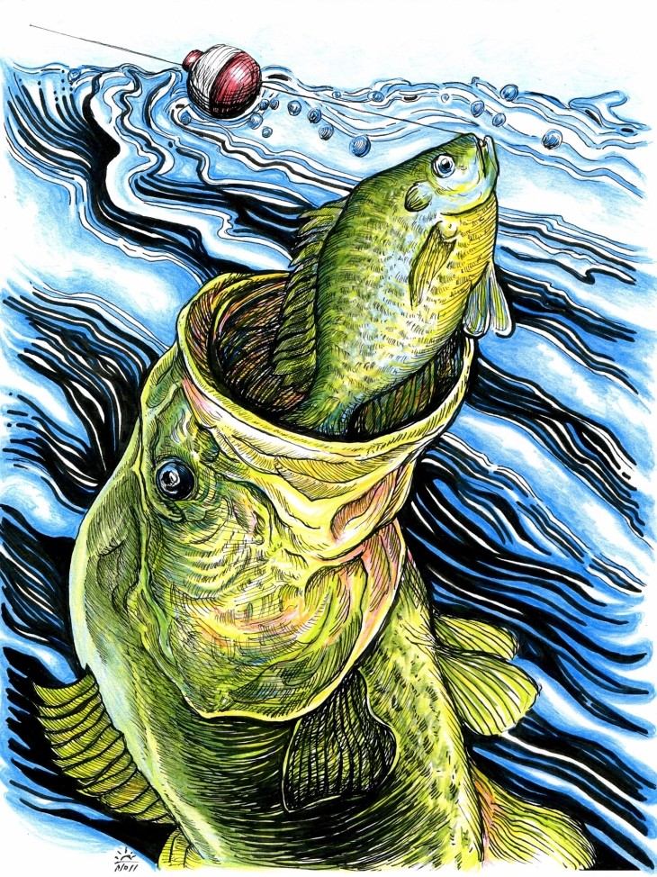 Fish on line