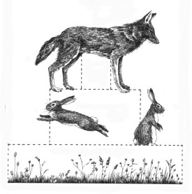 prey__predator.jpg thumbnail