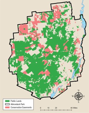 Research on the Adirondack Moose Population thumbnail