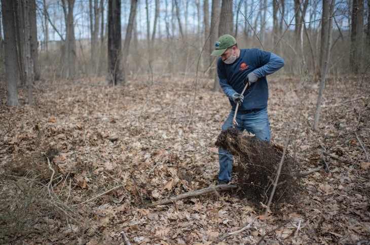 Pulling burning bush