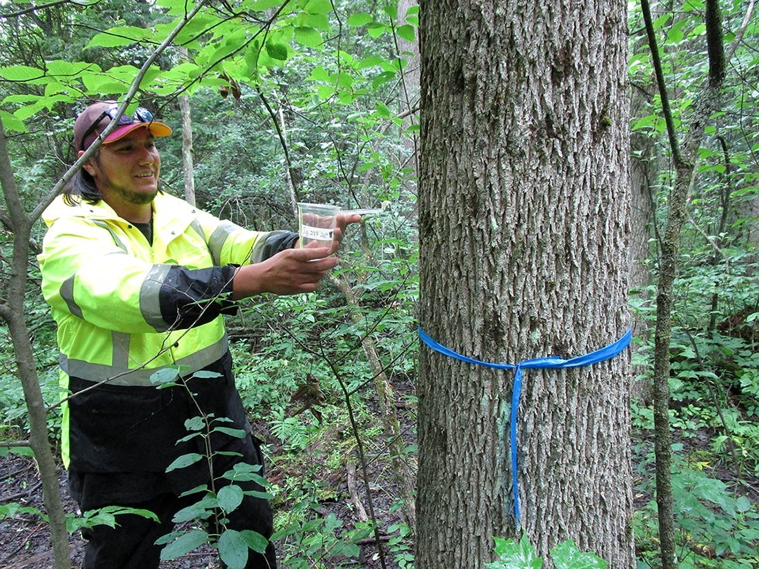 Jessica Raspitha: Working on Restoration in Akwesasne