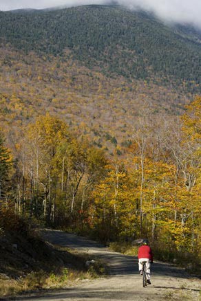 Two Centuries of Timber and Trampers: Where Recreation and Logging Coexist