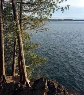 The Importance of Snow to the Bluff Forests of Lake Champlain thumbnail