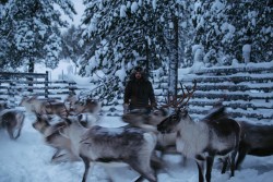 The Reindeer People Photo: Kang-Chun Cheng