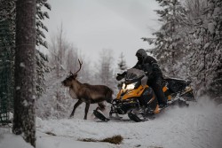 The Reindeer People Photo: Kang-Chun Cheng