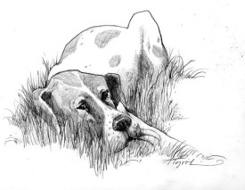 Roger_web.jpg thumbnail