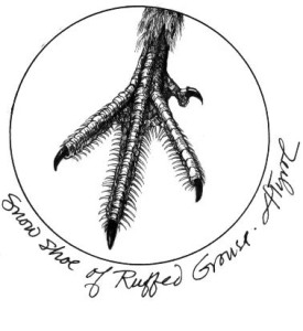 Ruffed_grouse_web.jpg thumbnail