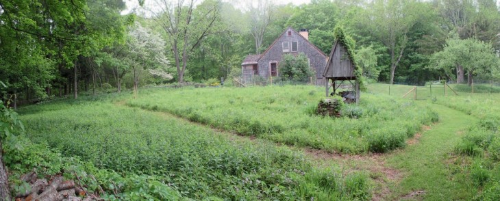 Homestead