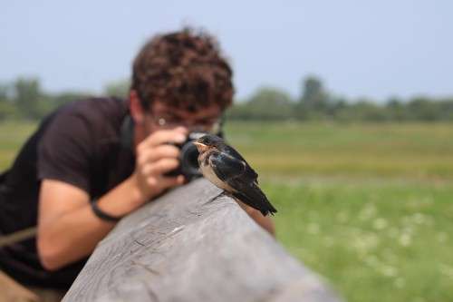 Bird photographer