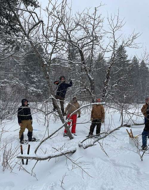 Coverts pruning