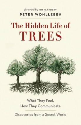 secret_life_of_trees.jpg thumbnail