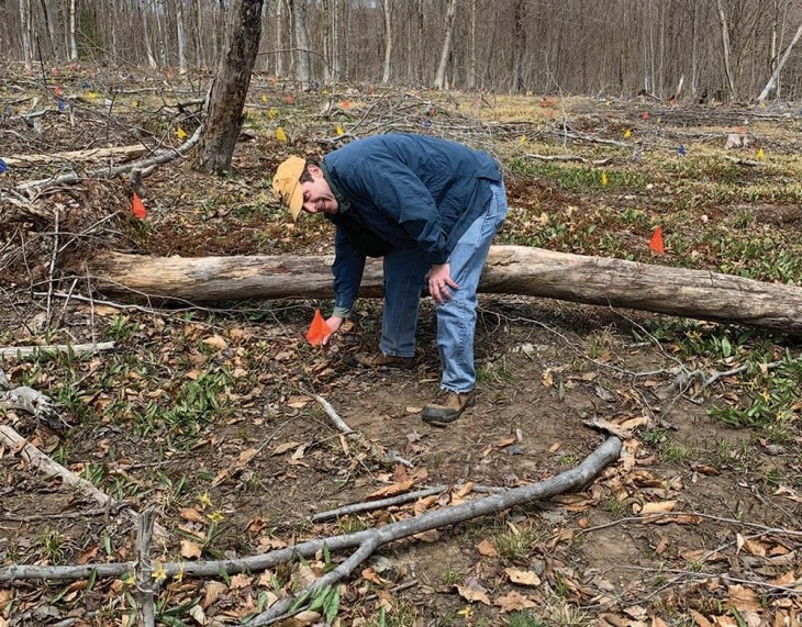 Creating a Climate-Resilient Forest at Tug Hill