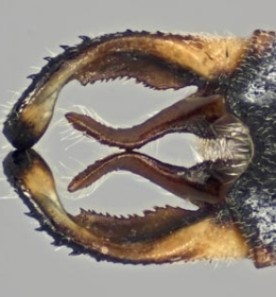 Sept1809_contest_pic_400.jpg thumbnail