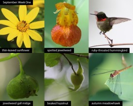 september-week-1-25.jpg thumbnail