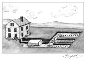 septic_cropped.jpg thumbnail