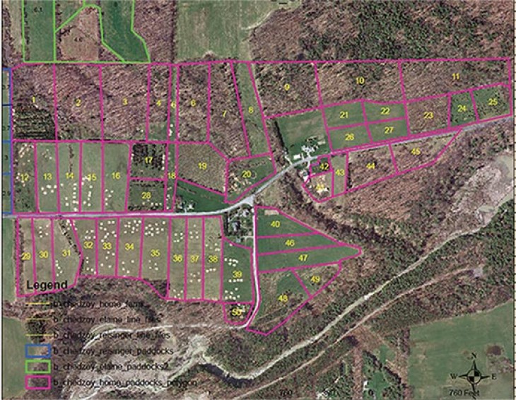 Grazing in the Woods: Bringing Silvopastures to the Northeast