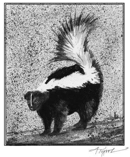 The Winter Life of the Skunk