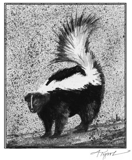 The Winter Life of the Skunk thumbnail