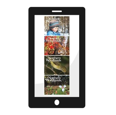 Northern Woodlands magazine